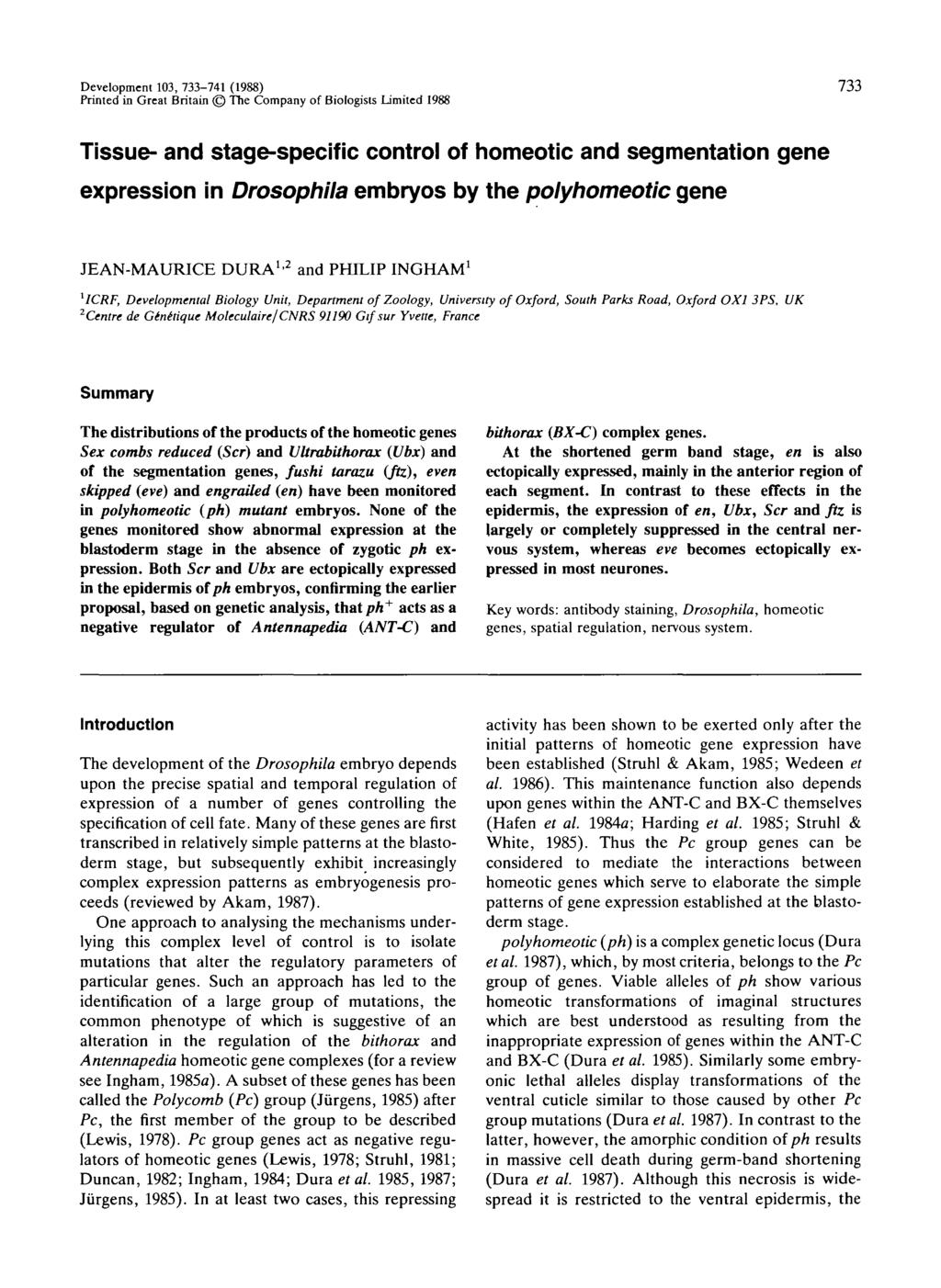 Development 103, 733-741 (1988) Printed in Great Britain The Company of Biologists Limited 1988 733 Tissue- and stage-specific control of homeotic and segmentation gene expression in Drosophila