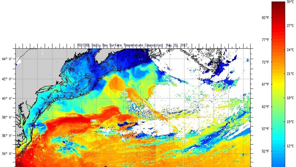 Figure 1 Daily Composite Satellite SST Image