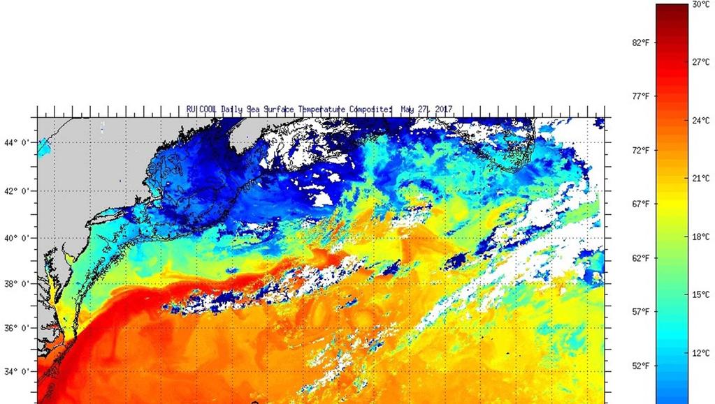 Figure 2 Daily Composite Satellite SST Image