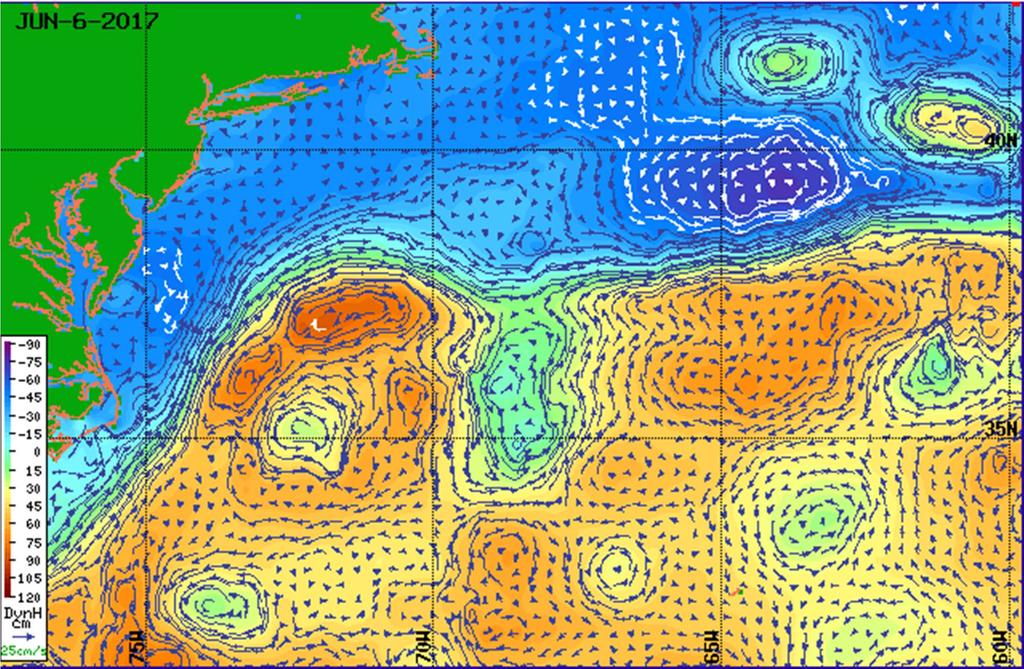 Figure 5 Satellite Altimetry Derived Surface Currents NW Atlantic Region June