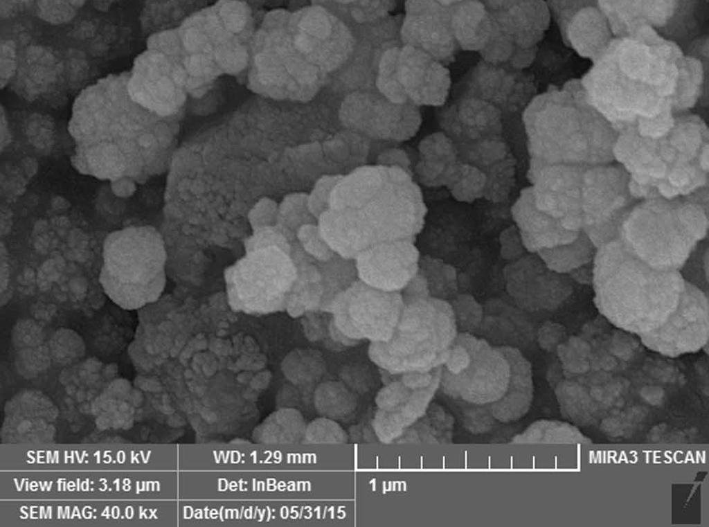 3) nanoparticles with mediocre size of 30 nm were