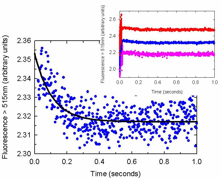 A B Figure 3-14: Kinetic analysis of the slow phase from biphasic time courses obtained from TmA binding TNP-ATP.