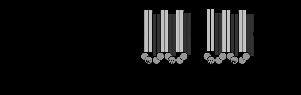 Figure 1-3. Receptor Signaling Complexes.