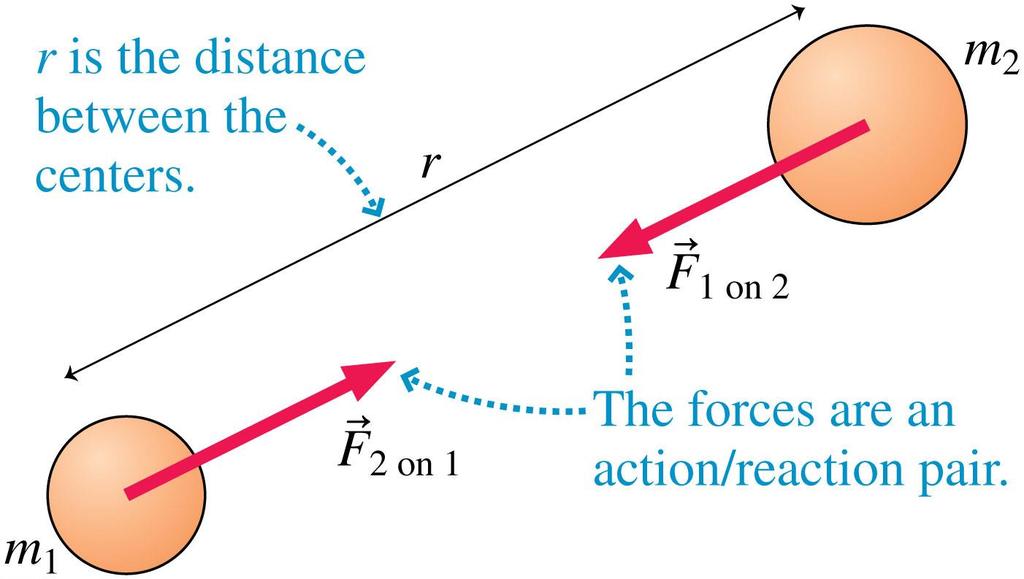 Gravity Obeys an Inverse-Square Law Gravity is a universal force that affects all objects in the universe. Newton proposed that the force of gravity has the following properties: 1.