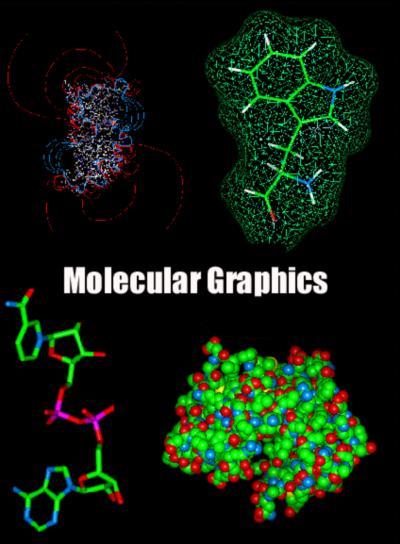 Molecular Graphics: Visual representation of molecules & their properties. Computational Chemistry: Simulation of atomic/molecular properties of compound through computer solvable equations.