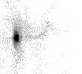 Chandra IRAC 8 micron 20 arcsec FIGURE 4. Left: Chandra image of the pulsar, torus, and jet in 3C 58. Center: Spitzer image (IRAC 8 µm) revealing the 3C 58 torus.