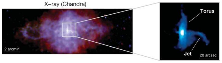 Challenge for MHD model toroidal structure only in region close to pulsar, filamentary and loop-like structure in the outer part of nebula nebula
