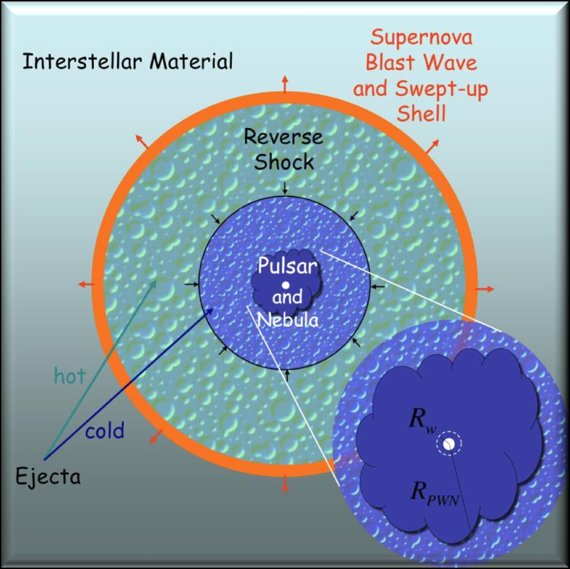 forms Gaensler & Slane 2006 Supernova Remnant - sweeps up ISM; reverse shock heats ejecta; ultimately compresses PWN;