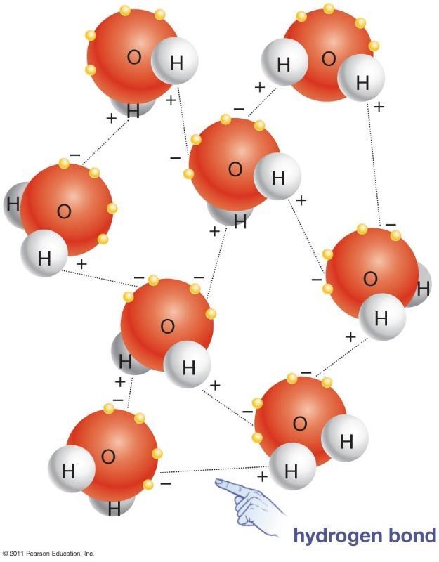 hydrogen atom that is already covalently bonded to one electronegative atom is attracted to another