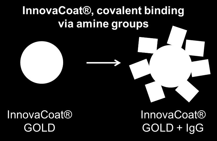 InnovaCoat surface is firmly anchored to the gold nanoparticle and resistant to extreme conditions, it is very