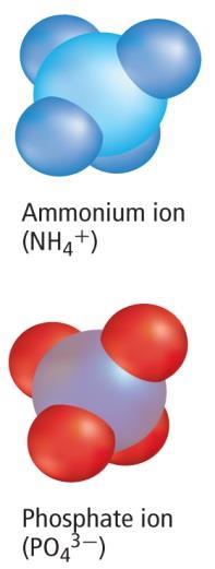 Names for Ions and Ionic Compounds An is a polyatomic ion composed of an