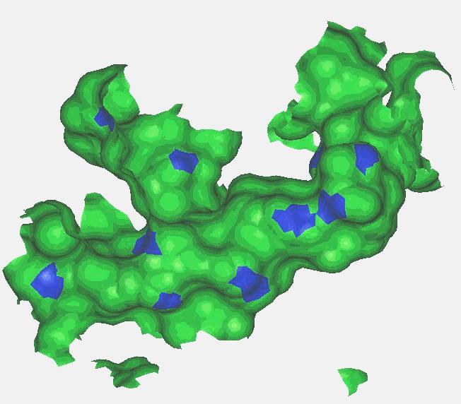 Function prediction based on local structure patterns 3D motif (spatial patterns of residues) Clefts / pockets (Prediction of ligand binding sites) For ~85% of