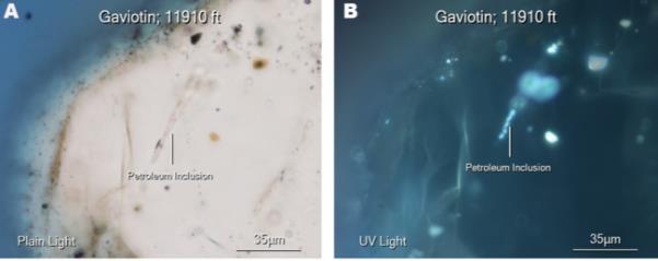 Hydrocarbon evidences: Fluid inclusions in Lobo and Gaviotin cuttings Study made by FIT in 2011