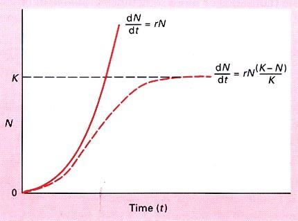 4. Exponential population growth: Described by: dn/dt = rn where: N = population size t = time r = intrinsic rate of natural increase Fig. 6.