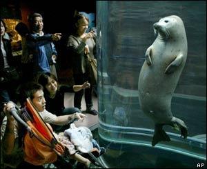 Marine Biology Biomechanics Seals and sea lions don t: