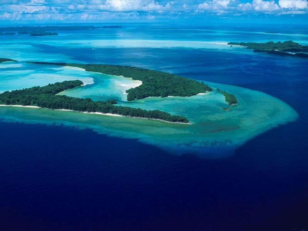 Marine Biology Habitats Tropical seas: Large biodiversity Warmer