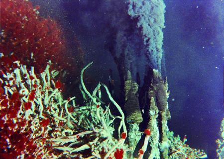 Hydrothermal vents,