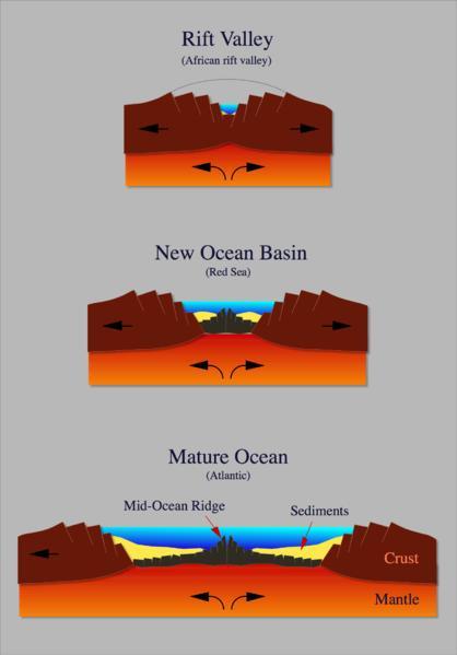Marine Biology Ocean Formation 3 billion years ago, the seas were rich in iron, giving them a green color, while carbon dioxide in the atmosphere gave the sky a red color Chemoautotrophs and