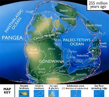 Marine Biology Ancient Oceans Important ancient oceans/bodies of water: Iapetus Ocean: southern hemisphere ocean during the Cambrian Panthalassa Ocean: vast world ocean that surrounded