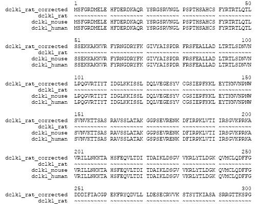 domains. The sequence DCLK1_RAT_CORRECTED was predicted by the use of alternative gene models and is supported by ESTs FN798821, CF978300 and CB798849.