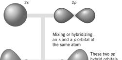 9.5 Hybrid Orbitals Think back to sixth grade biology. Remember Mendel? He made hybrids of pea plants by mixing purebreds. We will apply a similar method to atomic orbitals (s, p, d).