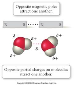gives good first approximations of the bond angles in molecules, but usually cannot be