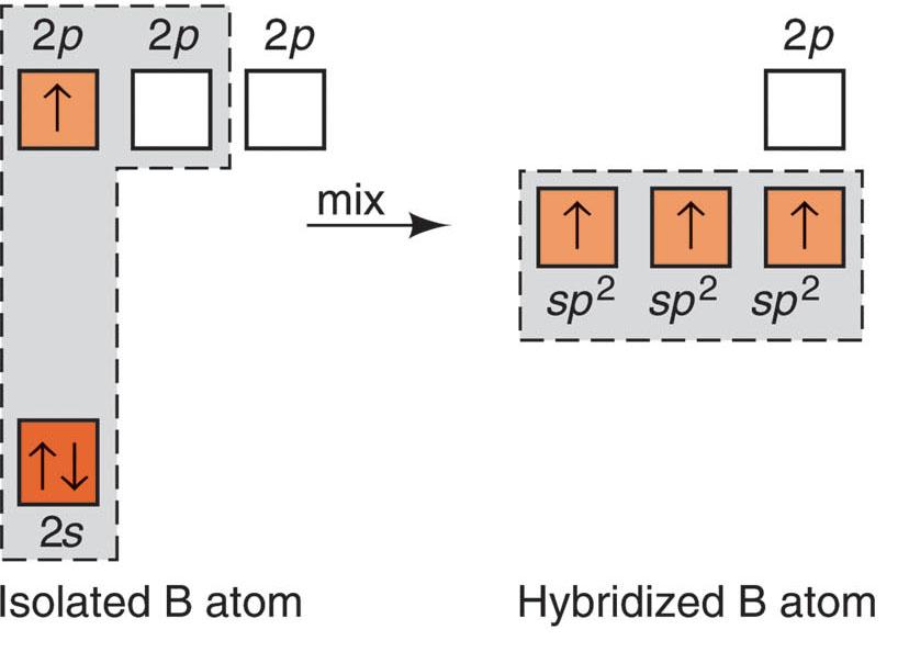 Example 2: sp 2 hybridizaton scheme BF 3.