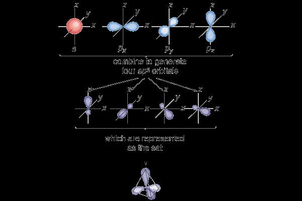 Tetrahedral geometry = sp 3 hybrid orbitals combine to generate four sp 3 orbitals Note the number of hybrids formed is the