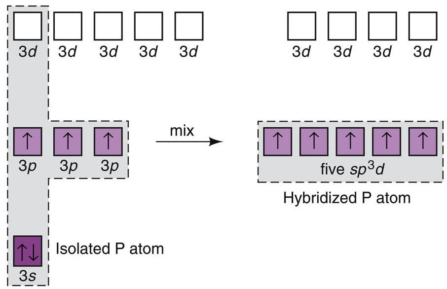 sp 3 d hybridization in PCl 5.