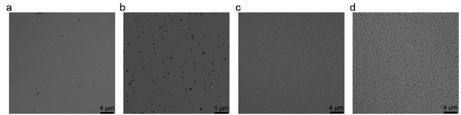S10. TEM images of metallacage 1 in CH 2 Cl 2 /hexane solutions with different hexane contents Supplementary Figure S13 TEM images of the aggregates