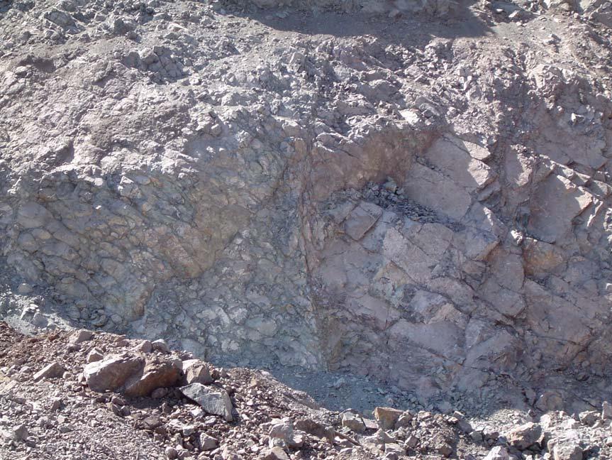 Minor fault within metavolcanic rock, east side of quarry face;