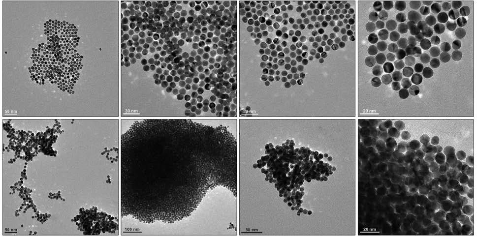 Supplementary Figure 6 TEM images of 11 nm Au NPs functionalized with MUA. The images in the top panel show particles from a sample prepared under blue light illumination.