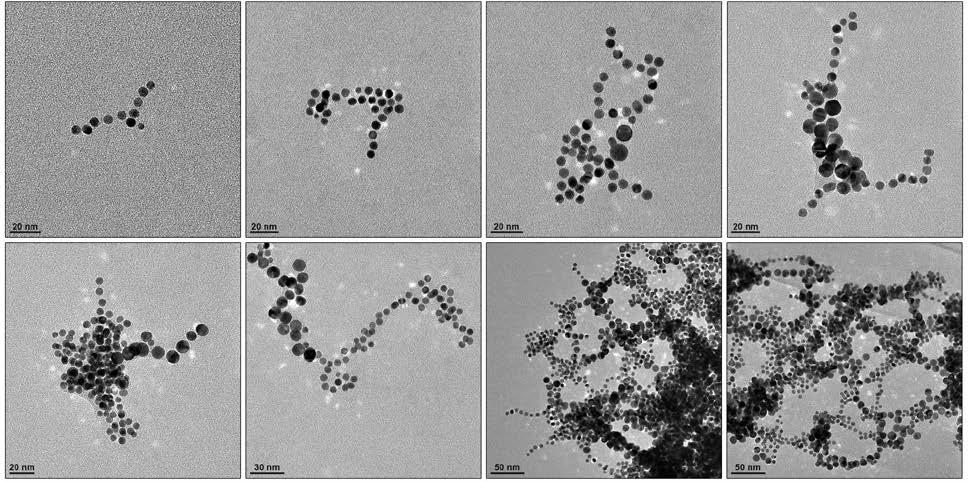 Supplementary Figure 7 TEM images showing quasi-linear assemblies of MUA-functionalized gold NPs.