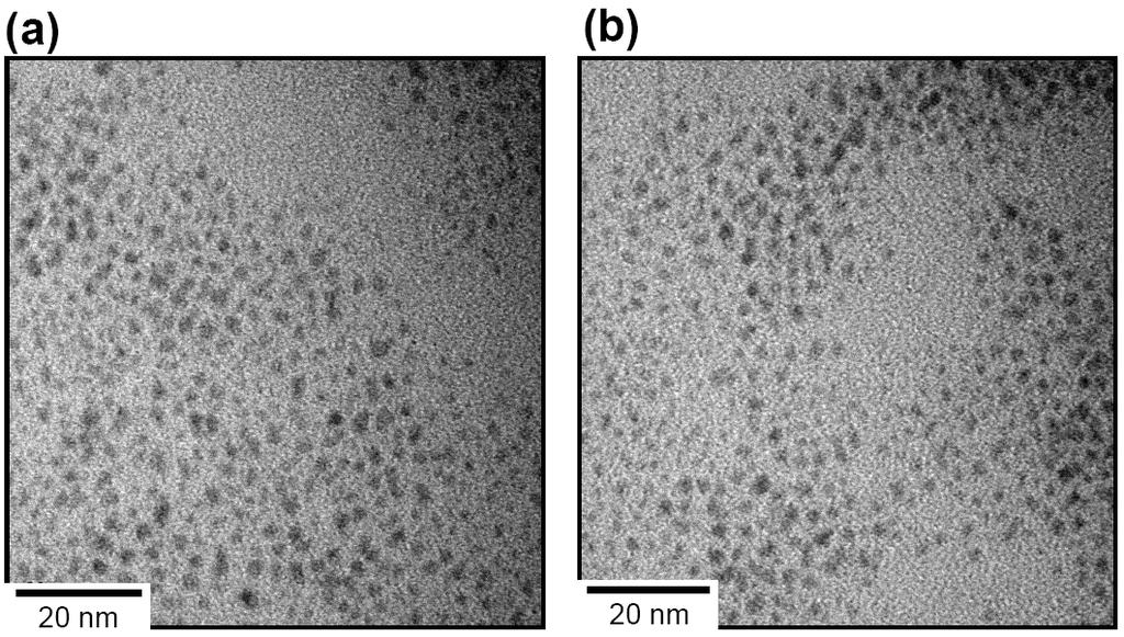 Figure S3. Transmission electron microscopy (TEM) images of 11-MUA Au NDs (100 nm) in the (a) absence and (b) presence of H 2 O 2 (10 mm).