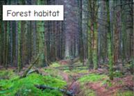 habitat What does  