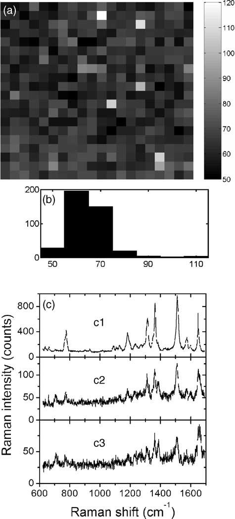 left). The scale bar in (a) is 100 nm, and the laser wavelength in (b) is indicated by a short black line. absorption cross-section of the R6G molecule.