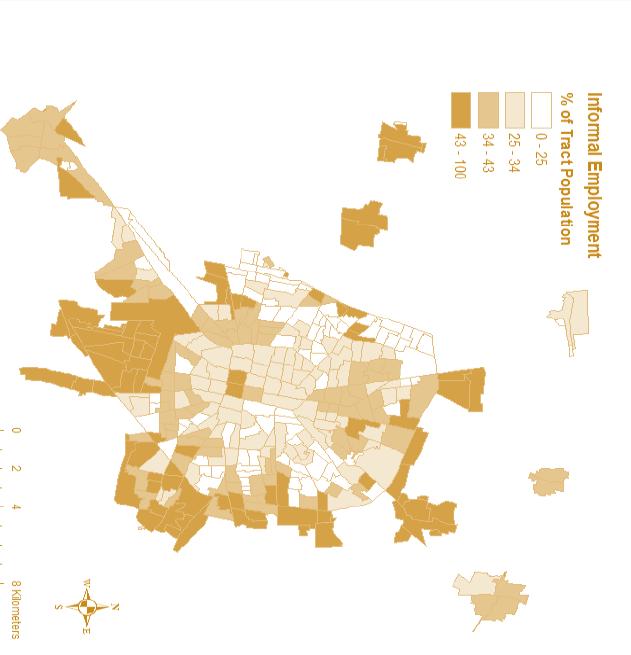 Spatial Patterns of Urban Poverty