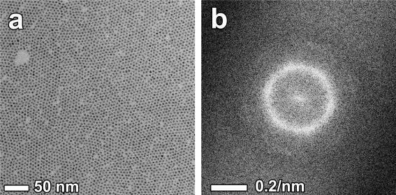 III. Calculation of particle density and concentration S9 TEM image of a LS CdSe monolayer (a) and detail of the corresponding Fourier Transform (b).