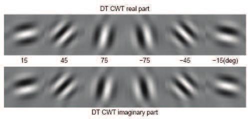 3.4. Examples of Complex Wavelet Transforms 47 (a) DT CWT (b) DWT Figure 3.