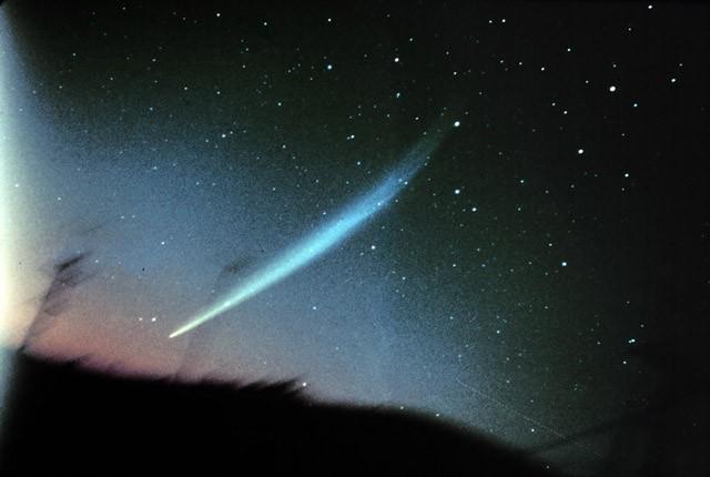 The only other known denizens: comets Appeared brilliantly in the sky and vanished Halley was the first to identify (in