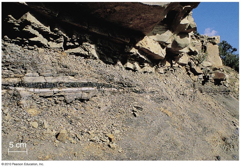 Iridium Layer No dinosaur fossils in upper rock layers Thin layer