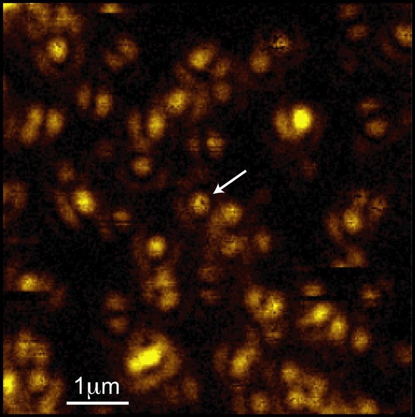 A metal nanoparticle as an optical