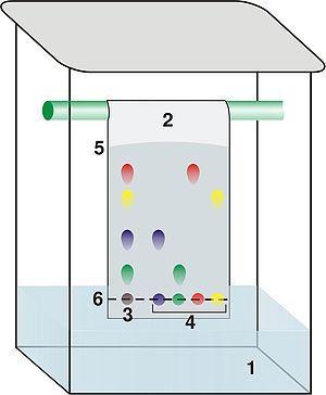 Topic 2 Investigation : Composition of inks (Chromatography) Investigate the composition of inks using simple chromatography Method: A Check that your chromatography paper hangs close to the bottom