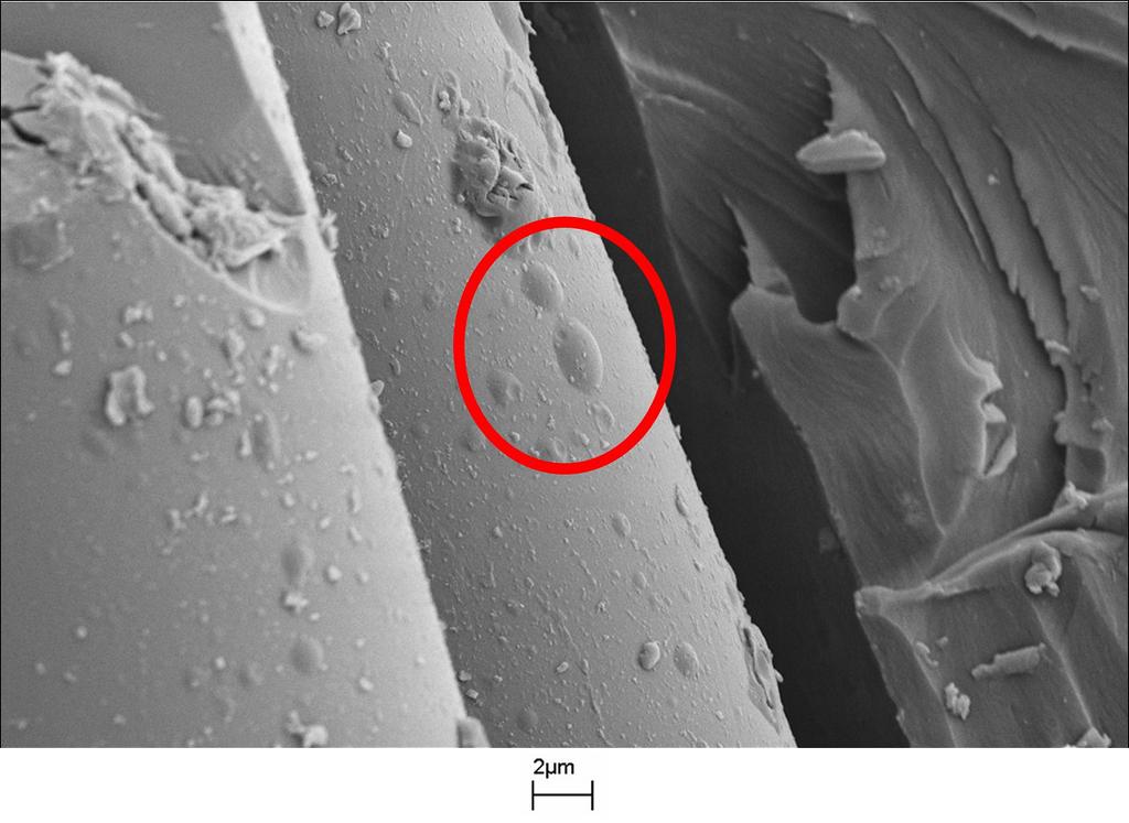 Figure 6: Scanning Electron Microscope image of a poorly bonded glass fibre-reinforced vinylester pultruded rod