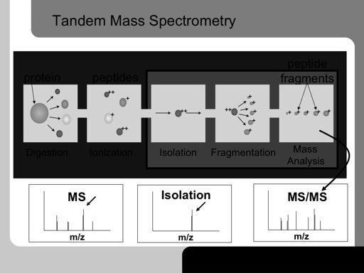As interest grew in analyzing the structure of molecules, more complex mass spectrometers were developed with two mass separation stages.