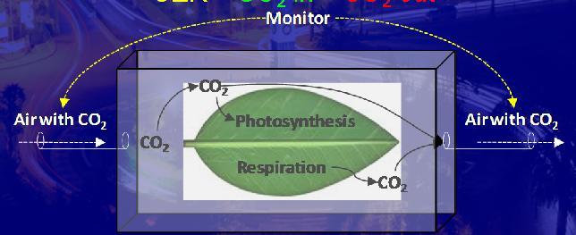 CO2 in = CO2 out No