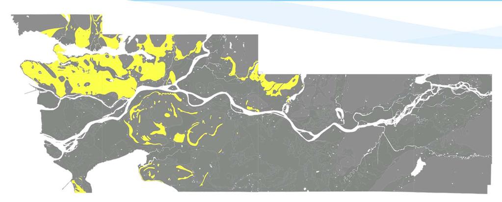 Lower Mainland Surficial Geology North Richmond Burnaby Delta