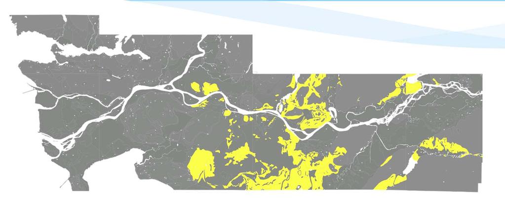 Lower Mainland Surficial Geology North Richmond Burnaby Delta Coquitlam Surrey Pitt Meadows Mission Chilliwack Lithostratigraphic Units