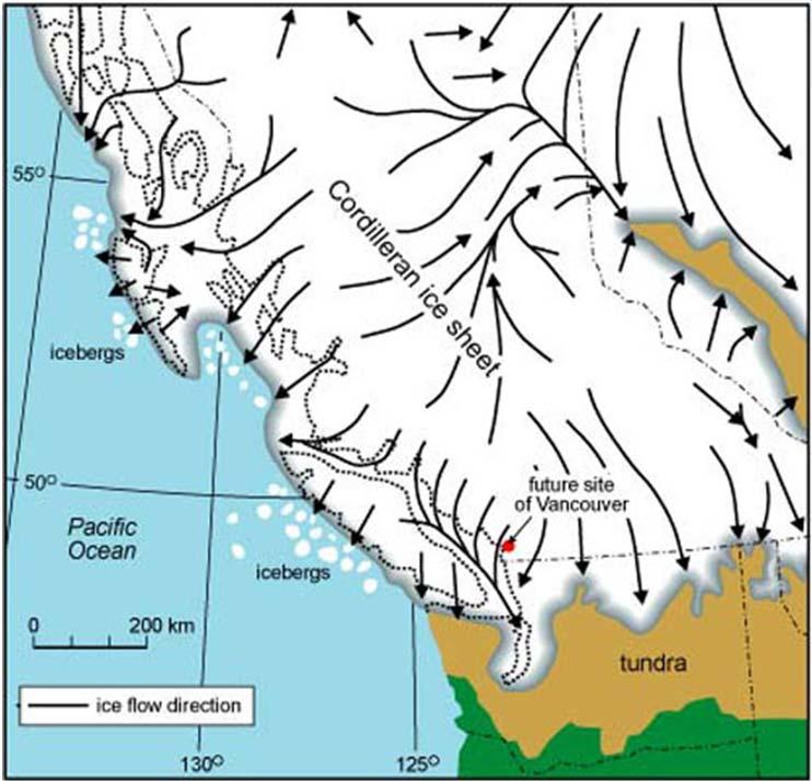 Wisconsin Glaciation 75,000 to 11,000 BP Cordilleran ice sheet Covered all of BC Ice more than 2km thick Ice sheet repeatedly advancing and receding Tide water glaciers/ice sheets in the