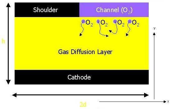 The boundary conditions consist of a source of oxygen (the channel) at